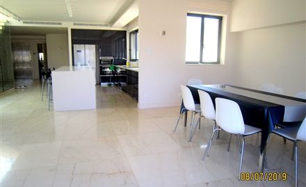 #1703 Stunning Duplex Penthouse