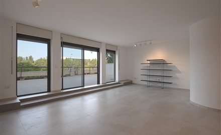 Kiryat Wolfson: Luxurious Villa  #1843