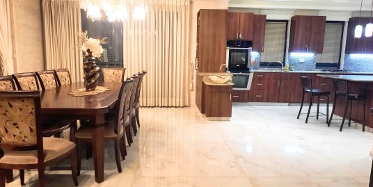 Stunning Rechavia Duplex #1996